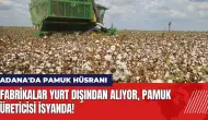 Adana'da pamuk hüsranı Fabrikalar yurt dışından alıyor üretici isyanda