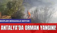 Antalya'da orman yangını!