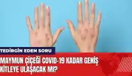 Maymun çiçeği Covid-19 kadar geniş kitleye ulaşacak mı?