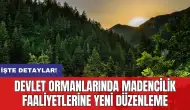 Devlet ormanlarında madencilik faaliyetlerine yeni düzenleme