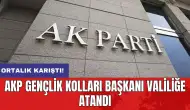 AKP Gençlik Kolları Başkanı valiliğe atandı