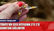 Türkiye'nin soya ihtiyacının 3'te 2'si Adana'dan sağlanıyor