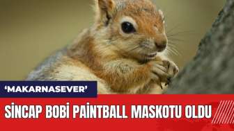 Makarnasever sincap Bobi Paintball maskotu oldu