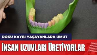 İnsan uzuvları üretiyorlar!