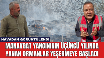 Manavgat yangınının üçüncü yılında yanan ormanlar yeşermeye başladı