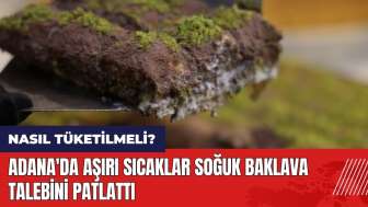 Adana'da aşırı sıcaklar soğuk baklava talebini patlattı! Soğuk baklava nasıl tüketilmeli?