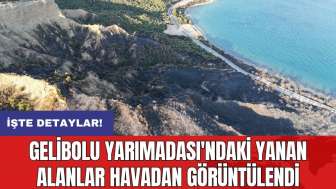 Gelibolu Yarımadası'ndaki yanan alanlar havadan görüntülendi