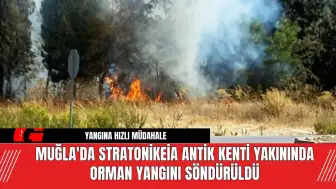 Muğla'da Stratonikeia Antik Kenti Yakınında Orman Yangını Söndürüldü