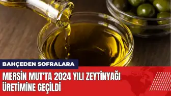 Mersin Mut'ta 2024 yılı zeytinyağı üretimine geçildi