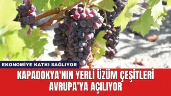 Kapadokya'nın Yerli Üzüm Çeşitleri Avrupa'ya Açılıyor