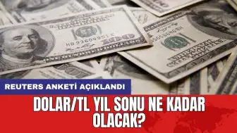 Reuters anketi açıklandı: Dolar/TL yıl sonu ne kadar olacak?