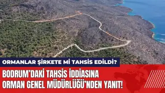 Bodrum’daki tahsis iddiasına Orman Genel Müdürlüğü’nden yanıt!