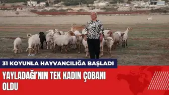 31 koyunla hayvancılığa başladı! Yayladağı'nın tek kadın çobanı oldu