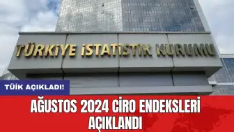 TÜİK Açıkladı: Ağustos 2024 Ciro Endeksleri Açıklandı