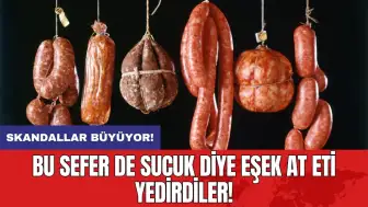 Skandallar büyüyor: Bu sefer de sucuk diye eşek at eti yedirdiler!