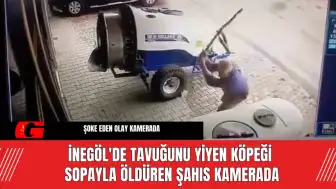 İnegöl'de Tavuğunu Yiyen Köpeği Sopayla Ö*düren Şahıs Kamerada