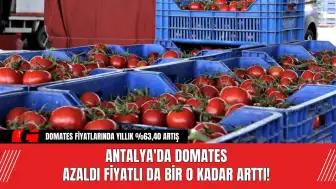 Antalya'da Domates Azaldı Fiyatlı da Bir o Kadar Arttı!