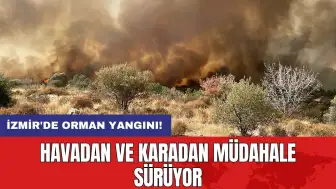 İzmir'de orman yangını! Havadan ve karadan müdahale sürüyor