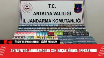 Antalya'da jandarmadan şok kaçak sigara operasyonu