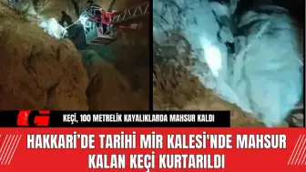 Hakkari’de Tarihi Mir Kalesi'nde Mahsur Kalan Keçi Kurtarıldı