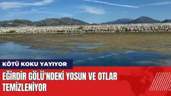 Eğirdir Gölü'ndeki yosunlar ve otlar temizleniyor!