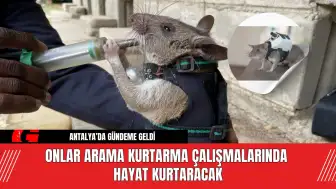 Onlar Arama Kurtarma Çalışmalarında Hayat Kurtaracak