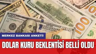 Merkez Bankası anketi: Dolar kuru beklentisi belli oldu