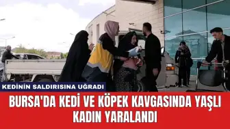 Bursa'da Kedi ve Köpek Kavgasında Yaşlı Kadın Yaralandı