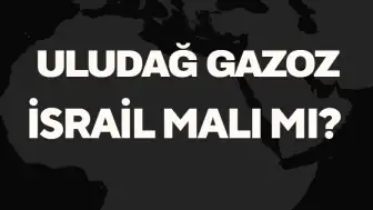 Uludağ Gazoz İsrail Malı Mı? Türkiye'nin Köklü İçecek Markasının Detayları