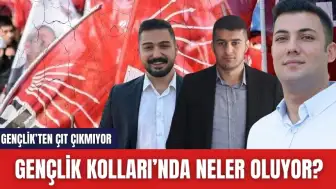 CHP İl Gençlik Kolları'nda Neler Oluyor? Son Durum Ne?