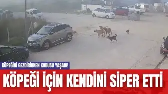 Köpeğini Gezdirirken Kabusu Yaşadı! Köpeği İçin Kendini Siper Etti