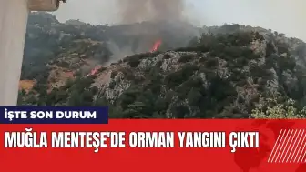 Muğla Menteşe'de orman yangını çıktı