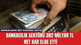 Bankacılık Sektörü 382 Milyar TL Net Kar Elde Etti