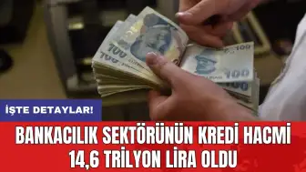 Bankacılık sektörünün kredi hacmi 14,6 trilyon lira oldu