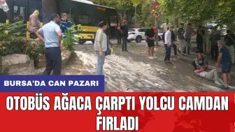 Bursa'da can pazarı: Otobüs ağaca çarptı yolcu camdan fırladı