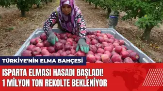 Isparta elması hasadı başladı! 1 milyon ton rekolte bekleniyor