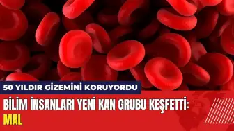 Bilim insanları yeni kan grubu keşfetti! MAL kan grubu nedir?