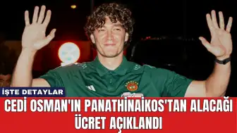 Cedi Osman'ın Panathinaikos'tan Alacağı Ücret Açıklandı