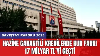 Hazine garantili kredilerde kur farkı 17 milyar TL'yi geçti