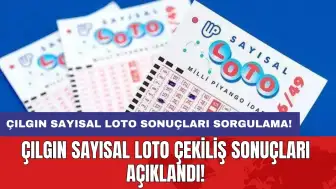 Çılgın Sayısal Loto Sonuçları Sorgulama: Çılgın Sayısal Loto çekiliş sonuçları açıklandı!