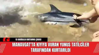 Manavgat'ta Kıyıya Vuran Yunus Tatilciler Tarafından Kurtarıldı