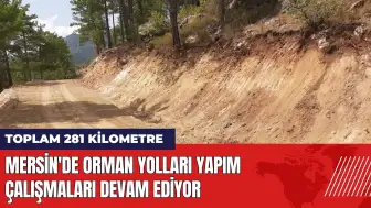 Mersin'de orman yolları yapım çalışmaları devam ediyor