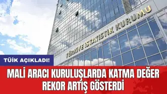 Mali aracı kuruluşlarda katma değer rekor artış gösterdi