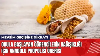 Okula başlayan öğrencilerin bağışıklığı için Anadolu propolisi önerisi