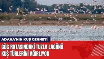 Göç rotasındaki Tuzla Lagünü kuş türlerini ağırlıyor