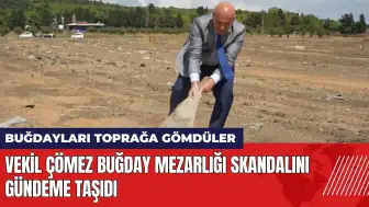 Vekil Çömez buğday mezarlığı skandalını gündeme taşıdı