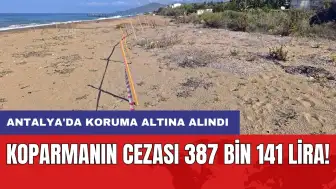 Koparmanın cezası 387 bin 141 lira! Antalya'da koruma altına alındı