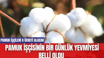 Pamuk İşçilerinin Bir Günlük Yevmiyesi Belli Oldu!