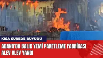 Adana'da balık yemi paketleme fabrikası alev alev yandı