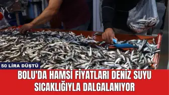 Bolu'da Hamsi Fiyatları Deniz Suyu Sıcaklığıyla Dalgalanıyor